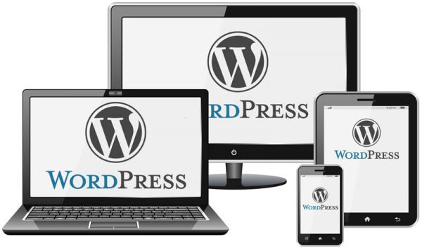 wordpress website development